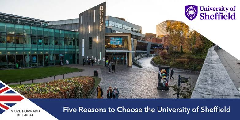 The University of Sheffield Africa Scholarship 2023